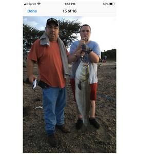 Meet your Posher, Rich